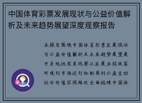 中国体育彩票发展现状与公益价值解析及未来趋势展望深度观察报告